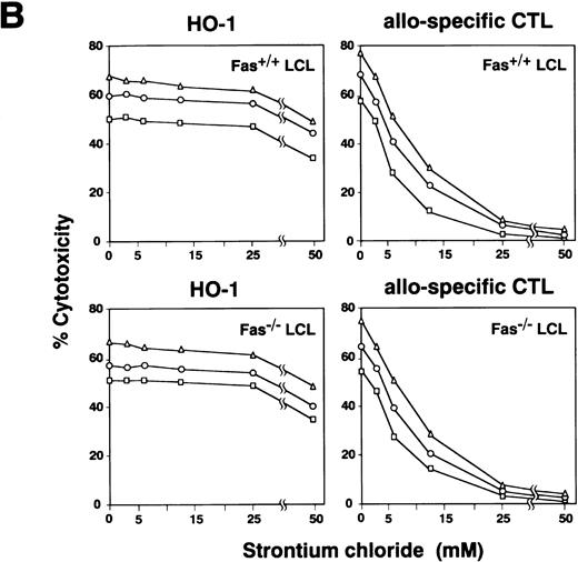 Fig. 4. Effect of CMA and Sr2+ on cytotoxicity mediated by HO-1. (A) HO-1 cells were preincubated with various concentrations of CMA for 2 hours. The CMA-treated or untreated HO-1 cells were then cocultured with 51Cr-labeled autologous LCL (Fas+/+ LCL) and Fas-deficient LCL (Fas−/− LCL), which had been loaded with the DEK-CAN peptide in the presence or absence of CMA at E:T ratios of 10:1 (▵), 5:1 (○), and 2.5:1 (□) for 4 hours. Effect of CMA on cytotoxicity mediated by alloantigen-specific CD8+ CTLs directed against Fas+/+ LCL and Fas−/− LCL was also examined. (B) HO-1 cells were preincubated with various concentrations of SrCl2 for 18 hours. The Sr2+-treated or untreated HO-1 cells were then cocultured with 51Cr-labeled autologous LCL (Fas+/+LCL) and Fas-deficient LCL (Fas−/− LCL), which had been loaded with the DEK-CAN peptide at E:T ratios of 10:1 (▵), 5:1 (○), and 2.5:1 (□) for 4 hours. The effect of Sr2+ on cytotoxicity mediated by alloantigen-specific CD8+ CTLs directed against Fas+/+ LCL and Fas−/−LCL was also examined.