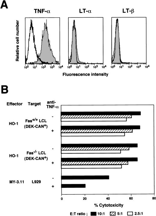 Fig. 5. Expression of membrane-bound forms of TNF- and LT on HO-1 cells and the effects of anti–TNF- Ab on cytotoxicity. (A) HO-1 cells were stained by indirect immunofluorescence with rabbit anti–TNF- IgG, rabbit anti–LT- IgG, or rabbit anti–LT-β IgG, then with FITC-conjugated goat anti-rabbit IgG (shaded histograms). Control stainings were performed using normal rabbit IgG and FITC-conjugated goat anti-rabbit IgG (open histograms). (B) HO-1–induced lysis of DEK-CAN peptide-loaded autologous LCL (Fas+/+ LCL) and Fas-deficient (Fas−/−LCL) was examined in 51Cr release assays conducted over 4 hours at E:T ratios of 10:1, 5:1, and 2.5:1 in the presence of normal rabbit IgG or anti–TNF- rabbit IgG. The effect of Ab against TNF- was also examined using TNF-–dependent killer cells, MY-3.11, and L929 as TNF-–sensitive target cells.