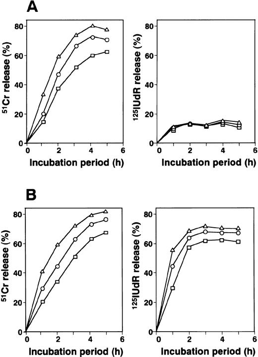 Fig. 6. Kinetics of 51Cr and 125IUdR release from target cells mediated by HO-1. (A) HO-1 cells were cocultured with 51Cr- or 125IUdR-labeled autologous LCL (HO-LCL), which had been loaded with the DEK-CAN peptide at E:T ratios of 10:1 (▵), 5:1 (○), and 2.5:1 (□) for various incubation periods. (B) 51Cr and 125IUdR release from HO-LCL mediated by alloantigen-specific CD8+CTLs was also examined. The percentage 51Cr and125IUdR release levels were determined as described in Materials and Methods.