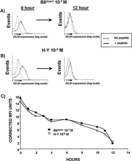 Fig. 2. Stability of Db/peptide complexes. T2Db cells, precultured at 26°C in the presence of Brefeldin A, were incubated with peptides in complete medium. Peptides were used at different molar concentrations selected to obtain a similar MFI value. In these conditions, the level of H2-Dbexpression at time 0 was equivalent for both B6dom1 and H-Y. T2Db cells were then washed five times, incubated at 37°C in serum-free medium supplemented with Brefeldin A, and the density of residual Db molecules was measured by staining with anti-Db Ab at various time points. (A) B6dom1/Db expression at 0 and 12 hours. (B) H-Y/Db expression at 0 and 12 hours. (C) Downregulation of peptide/Db complexes over a 12-hour time frame. One representative experiment of two is shown.