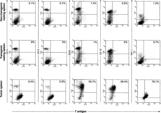 Fig. 7. Flow cytometric analysis of primary spleen cells. Spleen cells from a 4-month-old wild-type spleen (top row), a 4-month-old transgenic spleen from a founder line 37 (middle row), or a massively enlarged spleen from an ill, 5-month-old line 37 mouse were subjected to two-color flow cytometric analysis using an anti-TAg antibody and a variety of lymphoid markers. In the representative tumor shown in this figure, a significant proportion (≈60%) of the primary spleen cells are TAg+. The TAg+ cells are B220+, CD16+, and NK1.1+, but do not stain for CD4 or CD8.