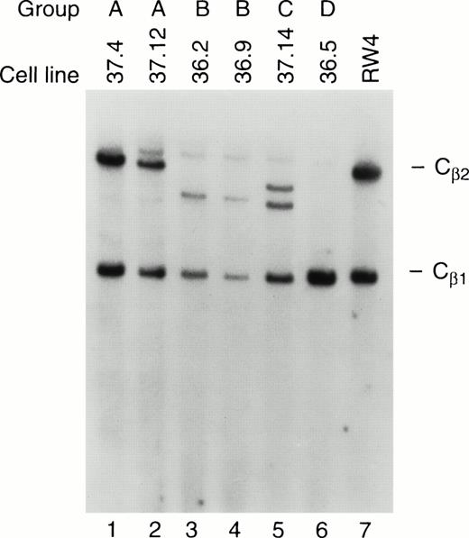 Fig. 9. TCR rearrangements in the tumor cell lines. Southern blot analysis of tumor cell lines from groups A, B, C, and D was performed. Genomic DNA from each of the cell lines was cut to completion withHindIII, and analyzed by Southern blotting using a probe specific for TCR Cβ1 and Cβ2. Note that the cell lines in group A have a germline configuration of Cβ2, while those in groups B, C, and D have an altered or absent Cβ2 band, indicating that clonal rearrangement of the TCR has occurred. RW-4 (lane 7) represents DNA from an embryonic stem cell line with germline configurations of Cβ1 and Cβ2.