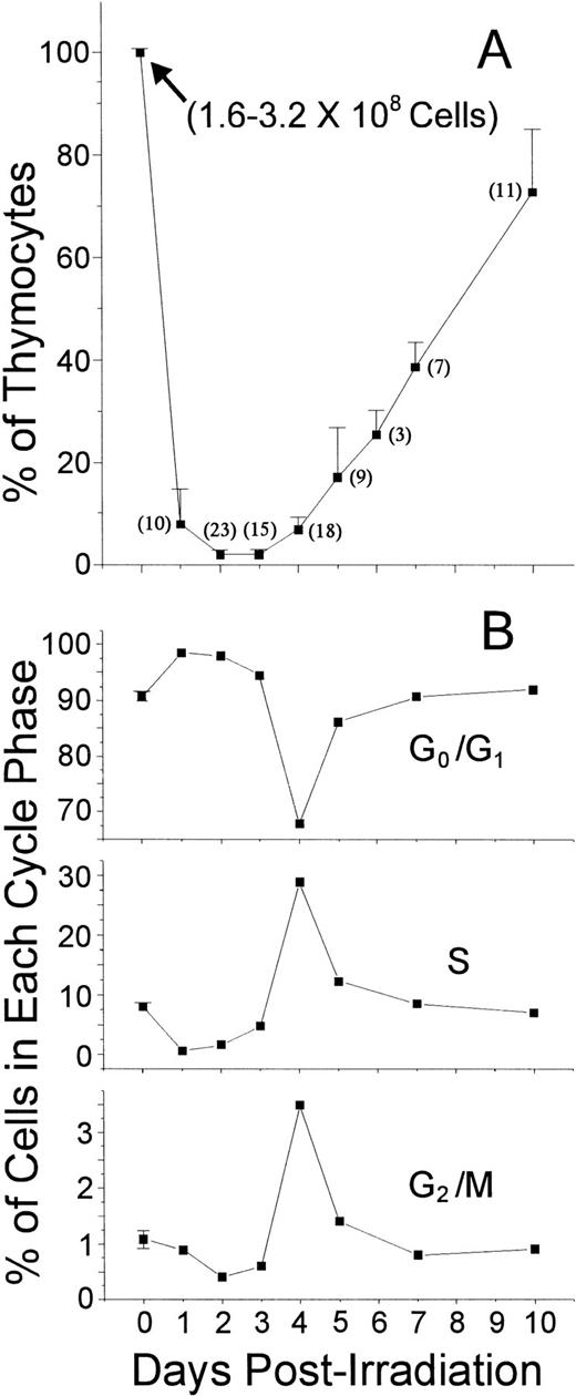 Fig. 1. Percentage and cycling status of thymocytes obtained from control or irradiated mice. (A) The percentages ± SD of cells recovered from the thymus (2 lobes) of control mice (day 0) or of mice killed on different days after irradiation. The number of mice used per point is shown in parenthesis. The range of absolute thymocyte count recovery for control mice is indicated in the graph. (B) The distribution of thymocytes according to their cycling status. In this experiment, except for six individually analyzed control mice (G0/G1 = 90.75 ± 0.86, S = 8.17 ± 0.73, and G2/M = 1.08 ± 0.16), percentage values were obtained with the labeling of pooled thymocytes from at least three animals per point.