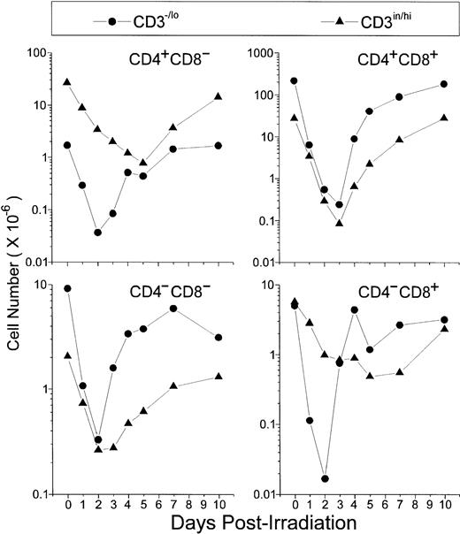 Fig. 2. Absolute values of thymocyte subpopulations, as defined by CD3/CD4/CD8 triple-labeling, found in control or irradiated mice. For simplification, CD4/CD8-defined thymocyte subsets were divided into −/lo or in/hi according to their level of CD3 expression. For examples for this arbitrary CD3 division, see Figs 12 and 13. Values were obtained with the labeling of pooled thymocytes from at least three animals per point.