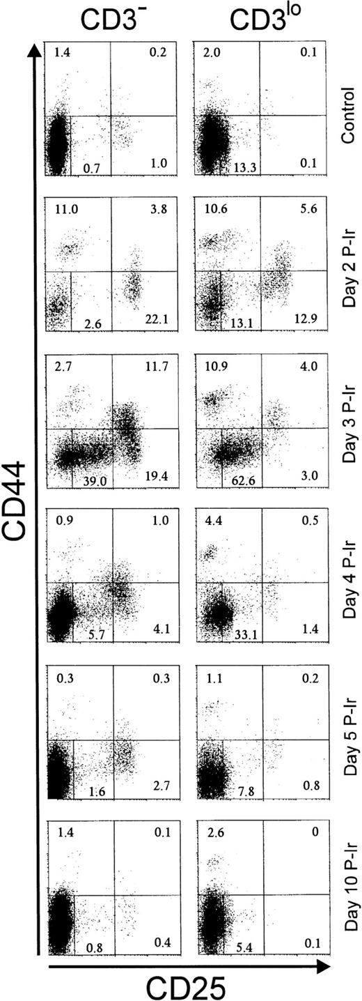 Fig. 3. CD25 and CD44 expression in CD3− and CD3lo thymocytes in control or irradiated mice. Major quadrants: upper left, CD25−CD44+ cells; upper right, CD25+(hi)CD44+ cells; lower left, CD25+CD44− plus CD25inCD44− (middle gate) cells; lower right; CD25+CD44− cells. Numbers represent the percentage of thymocytes in each quadrant or the gate. Values were obtained with the labeling of pooled thymocytes from at least three animals per point.