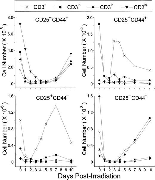Fig. 4. CD25/CD44-defined thymocyte subsets obtained at distinct stages of maturation (ie, level of CD3 expression) in control or irradiated mice. Absolute values were obtained with the labeling of pooled thymocytes from at least three animals per point.