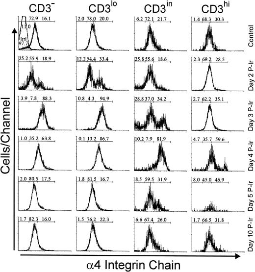 Fig. 7. Integrin 4 chain expression as a function of CD3 surface level in thymocytes obtained from control or irradiated mice. Numbers represent the percentages found for 4− (left region), 4in (middle region), and 4hi(right region) thymocytes. The area tagged with “irrl” shows the labeling of control thymocytes with an irrelevant antibody. Values were obtained with the labeling of pooled thymocytes from at least three animals per point.