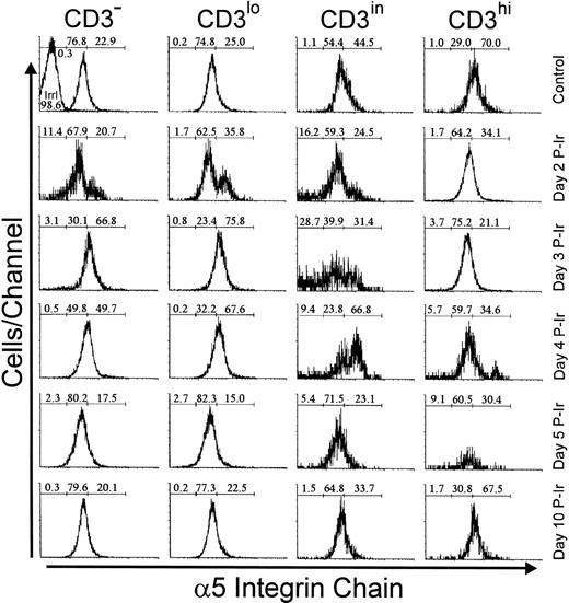 Fig. 8. Integrin 5 chain expression as a function of CD3 surface level in thymocytes obtained from control or irradiated mice. Numbers represent the percentages found for 5− (left region), 5in (middle region), and 5hi(right region) thymocytes. The area tagged with “irrl” shows the labeling of control thymocytes with an irrelevant antibody. Values were obtained with the labeling of pooled thymocytes from at least three animals per point.