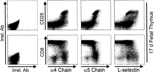 Fig. 10. Expression of 4 and 5 integrin chains, and L-selectin on day 17 fetal thymocytes. Thymocytes pooled from 15 17-day fetuses were triple stained with anti-CD8, anti-CD25, and anti-ECM receptor (anti-4 chain, anti-5 chain, or anti-L-selectin) MoAb cocktails, or with irrelevant antibodies (Irrel. Ab).
