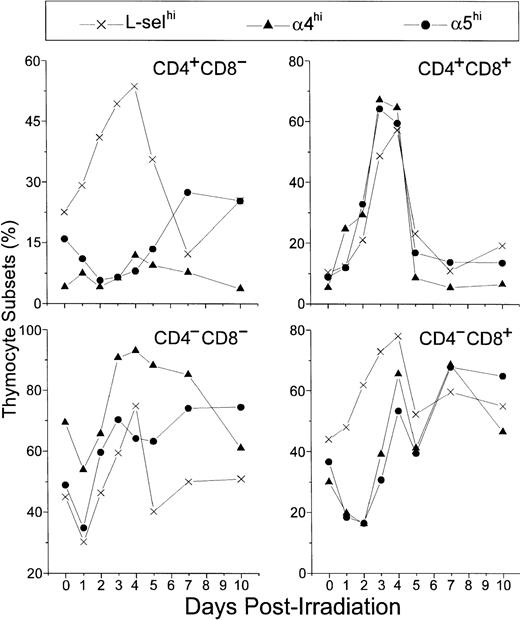 Fig. 11. Relative number of L-selhi, 4hi, and 5hi cells among CD4/CD8 thymocyte subsets. Values were obtained with the labeling of pooled thymocytes from at least three animals per point.