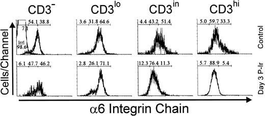 Fig. 12. Integrin 6 chain expression as a function of CD3 surface level in thymocytes obtained from control or day 3 P-Ir mice. Numbers represent the percentages found for 6− (left region), 6in (middle region), and 6hi(right region) thymocytes. The area tagged with “irrl” shows the labeling of control thymocytes with an irrelevant antibody. Values were obtained with the labeling of pooled thymocytes from at least three animals per point.