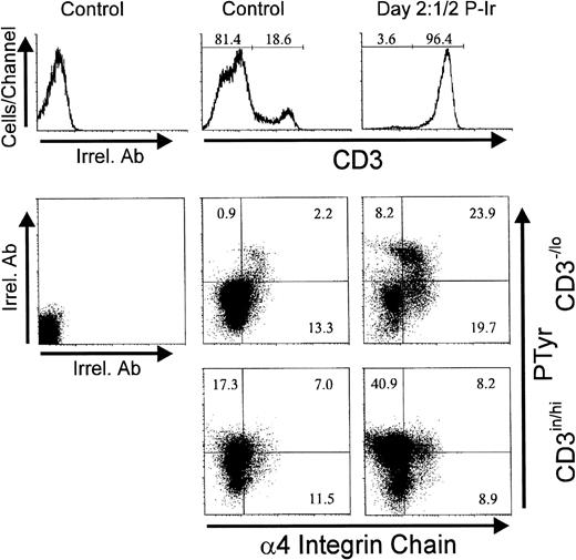 Fig. 14. Intracellular phosphotyrosine content and integrin 4 chain surface expression in thymocytes from control or day 21/2 P-Ir mice. Plots show PTyr and integrin 4 chain levels according to the level of CD3 expression as defined in the histograms. Background labeling with irrelevant antibodies (Irrel. Ab) is also shown. Values were obtained with the labeling of pooled thymocytes from at least three animals per point.