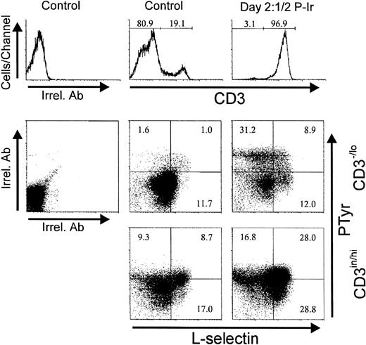Fig. 15. Intracellular phosphotyrosine contents and L-selectin surface expression in thymocytes from control or day 21/2 P-Ir mice. Plots show PTyr and L-sel levels according to the level of CD3 expression as defined in the histograms. Background labelings with irrelevant antibodies (Irrel. Ab) are also shown. Values were obtained with the labeling of pooled thymocytes from at least three animals per point.