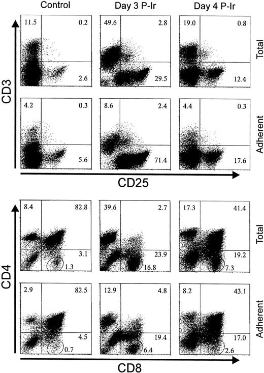 Fig. 16. The phenotype of TEC adherent thymocytes. Thymocytes (2.5 × 107 in 1 mL FCS-free medium) from control, day 3, or day 4 P-Ir were added to 2BH4 subconfluent monolayers in 25-cm2 flasks and incubated for 1 hour at 37°C. Nonadherent thymocytes were removed by aspiration followed by three gentle washes with warm medium. Adherent thymocytes were recovered in cold medium with FCS and stained for the markers shown on the axis. The circled region in the lower set of panels shows the percentage of CD8+ cells highly negative for CD4 labeling (ie, mature CD8 cells). Values were obtained with the labeling of pooled thymocytes from at least three mice per point.