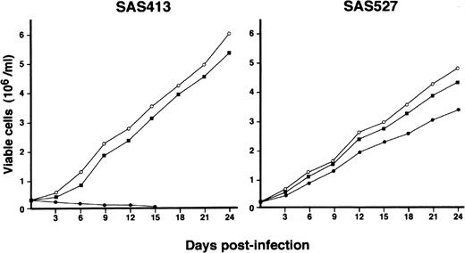 Fig. 4. Growth curve of SAS413 and SAS527. The growth of mock-infected (○), HHV-6A–inoculated (•), and HHV-6B–inoculated (▪) SAS413 and SAS527 was monitored by counting viable cells using the trypan blue exclusion test.