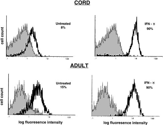 Fig. 1. Effect of IFN-γ on CCR5 expression in monocytes. Cord and adult blood monocytes (1 × 106 cells/mL) were incubated with IFN-γ (500 U/mL) for 24 hours. CCR5 expression was determined by flow cytometry. The shaded histogram represents control staining with isotype-matched antibody (IgG2a). The open histogram represents CCR5 expression using 2D7 MoAb. Results are shown as the percentage of CCR5-positive cells and are representative of 10 cord blood samples and 10 adult donors.