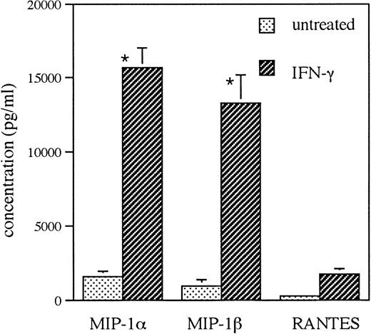 Fig. 8. Effect of IFN-γ on C-C chemokine secretion. Monocytes were incubated for 72 hours with IFN-γ (500 U/mL), and the supernatants from untreated and IFN-γ–treated cells were assayed for MIP-1, MIP-1β, and RANTES by ELISA. Results are representative of 3 cord blood samples (*P < .05, IFN-γ vuntreated).
