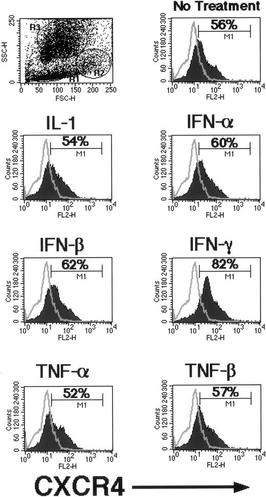Fig. 7. Regulation of CXCR4 expression by γ-IFN. Freshly isolated BMMNC in serum-free media were either left alone or treated with a variety of proinflammatory cytokines as indicated for 36 hours. Expression of CXCR4 was monitored by FACS analysis after the treatment period. The negative isotype control is overlaid on each histogram. A representative experiment is shown of three independent repeats with similar results. M1 represents the positive population; the percentage of positive cells is indicated within each histogram.