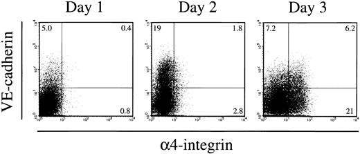 Fig. 2. Kinetics of appearance of 4-integrin+cells in the culture initiated from ES cell-derived FLK1+cells. FLK1+ cells sorted from differentiating CCE cells were cultured in a gelatin-coated dish for 1 to 3 days and analyzed for expression of VE-cadherin and 4-integrin by flow cytometry. CD45+ cells and TER119+ cells were excluded from the analyses. The numbers indicate the percentage of cells that appeared in each quadrant. The result shown is a representative of three independent experiments.