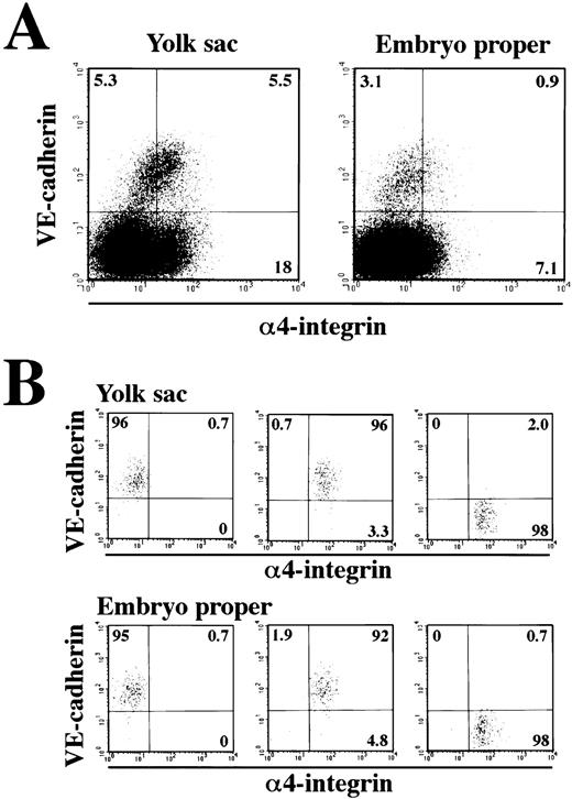 Fig. 7. Expression of VE-cadherin and 4-integrin on the cells dissociated from 9.5 dpc mouse embryos. The yolk sacs and embryonic bodies (lower trunk) were separated from 9.5 dpc mouse embryos and a single-cell suspension was prepared by using dispase and cell dissociation buffer. Cells were analyzed for expression of VE-cadherin and 4-integrin by flow cytometry (A). CD45+ cells and TER119+ cells were excluded from the analyses. The VE-cadherin+ 4-integrin−, VE-cadherin+ 4-integrin+, and VE-cadherin− 4-integrin+ cells were sorted and reanalyzed (B). The numbers indicate the percentage of cells that appeared in each quadrant. The result shown is a representative of three independent experiments.