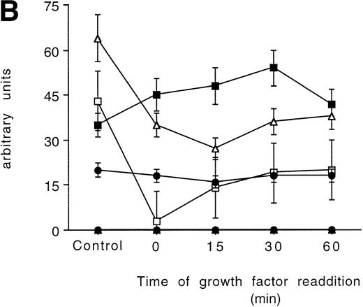 Fig. 7. Time-course analysis of the effect of growth factor readdition on PKC isoform expression in 32D Epo1.1 cells cultured in Epo (A) or IL-3 (B). Semiquantitative densitometric analysis on Western blot experiments shown in the legend of Fig 6 is reported. The values represent the means ± SD of five separate experiments. (▪) ; (□) βI; (•) δ; (○) ɛ; (▴) η; (▵) ζ.