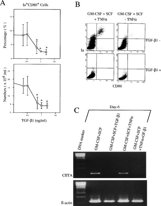 Fig. 3. TGF-β1 inhibited the expression of Ia and CD86 antigens and CIITA mRNA in Lin−c-kit+ HPC cultures in the presence of GM-CSF + SCF with or without TNF at day 6. (A) Dose-dependent inhibition on the generation of Ia+CD86+ cells from murine Lin−c-kit+ HPCs stimulated with GM-CSF + SCF + TNF at day 6. The data represent the mean value ± SD of the percentage and absolute numbers of Ia+CD86+ cells observed in more than five experiments. *P < .05 significance as compared with the cultures without addition of TGF-β1. (B) Ia+CD86+ cells in Lin−c-kit+ HPC cultures stimulated with the indicated various combinations of cytokines. Quads were set up on the isotype-matched control dot plot. (C) The expression of CIITA mRNA in Lin−c-kit+ HPC cultures stimulated with indicated various combinations of cytokines. The results are representative of more than three experiments.