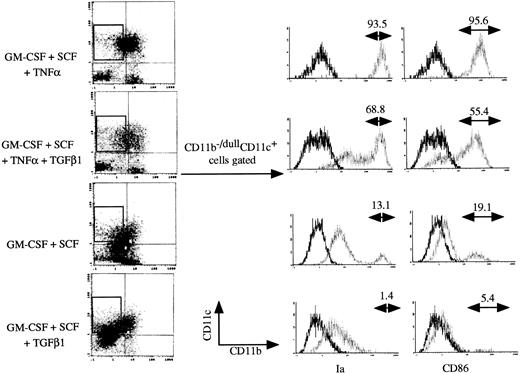 Fig. 5. TGF-β1 inhibited at day 12 the expression of Ia and CD86 antigens on CD11b−/dullCD11c+ cells derived from cultured Lin−c-kit+ HPCs stimulated with the indicated various combinations of cytokines. Histograms shown in the figures were gated on CD11b−/dullCD11c+ cells. Solid and dotted lines indicate the immunofluoresecence intensity of cells stained with a control and the test antibodies, respectively. Representative results from three or more independent experiments are shown.