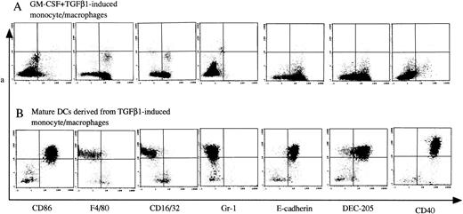Fig. 8. The phenotype of TGF-β1–induced monocytes/macrophages and their offspring of mature DCs. Murine Lin−c-kit+ HPCs were first cultured in the presence of GM-CSF + SCF for 12 days with the addition of TGF-β1 (A). These cultured cells were then washed twice and recultured in the presence of GM-CSF + TNF for an additional 3 to 5 days (B). Cells were processed for two-color immunofluorescence analyses. Gr-1 and CD40 antigens were examined by FITC-conjugated anti–Gr-1 and CD40 MoAbs. CD86, F4/80, CD16/32, E-cadherin, and DEC-205 antigens were stained with uncoupled rat-antimouse MoAbs, followed by staining with FITC-conjugated antirat IgG. The second color was shown by a PE-conjugated Ia MoAb. Quads were set up on the isotype-matched control dot plot. Representative results from three independent experiments are shown.