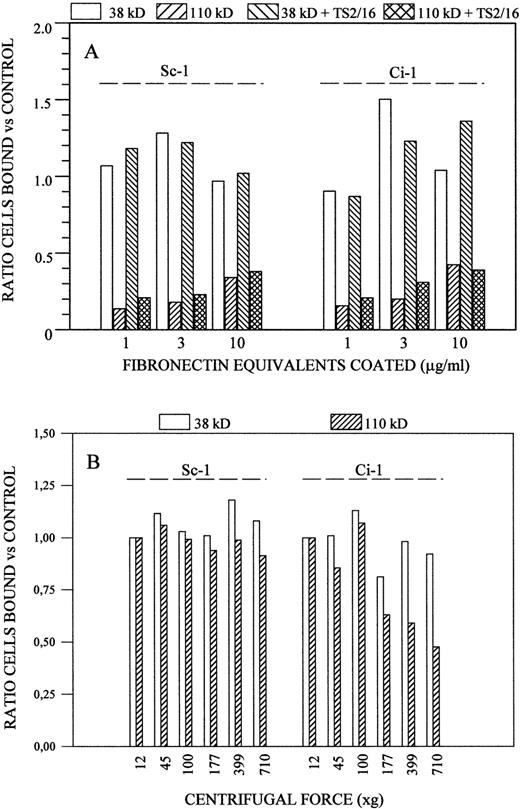 Fig. 1. (A) Sc-1 and Ci-1 cell adhesion to 38-kD fragment and 110-kD polypeptide with and without addition of the anti-β1 activating antibody TS2/16. Data are presented as the ratio of cells bound to each of the two proteins when compared with cells adhering to the intact fibronectin molecule, after subtraction of nonspecific binding to BSA (5% to 10%). The extent of cell attachment was analyzed at various concentrations of the fragment/polypeptide and is expressed as molar equivalents of intact fibronectin. (B) Relative avidity of Sc-1 and Ci-1 cell binding to the 38-kD fragment and 110-kD polypeptide assessed by applying increasing centrifugal forces to detach the adherent cells.