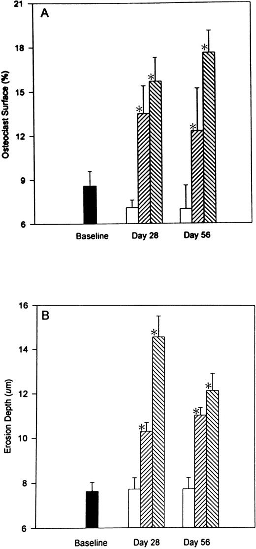 Fig. 4. The reversibility of heparin’s effects on osteoclast surface and erosion depth. Rats were injected with vehicle alone (open bars) or unfractionated heparin at a concentration of 0.5 U/g/day (cross-hatched; rising to the right) or 1.0 U/g/day (cross-hatched; rising to the left). On day 28, half of the rats from each group were killed while the other half were allowed to live for an additional 28 days with no further treatment before determining osteoclast surface (A) and/or erosion depth (B). Data are expressed as mean ± SEM. * P < .005 when compared with either baseline or control values for both (A and B).