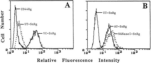 Fig. 5. Sialidase treatment of SnRg enhances reactivity to the Jurkat T-cell line. Jurkat (1 × 106) cells were incubated in (A) with 50 mg/mL of CD44Rg, untreated sialoRg (UT-SnRg) orVibrio Cholerae sialidase-treated SnRg (VC-SnRg) and in (B) with 50 mg/mL UT-sialoRg, Arthrobacter Ureafacienssialidase-treated SnRg (AU-SnRg) or NANaseI-treated SnRg.