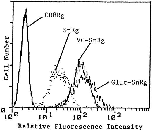 Fig. 6. The addition of a negatively charged moiety to sialidase-treated SnRg does not inhibit its binding activity. Jurkat (1 × 106) cells were incubated with 50 mg/ml of CD8Rg, SnRg, VC-SnRg, or Glut-SnRg and FACS analyzed for binding reactivity.