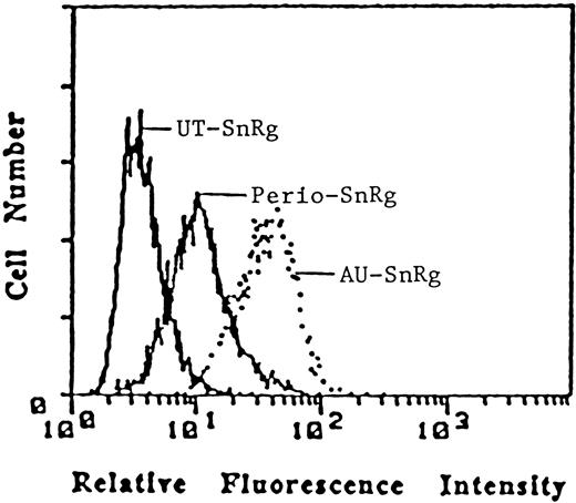 Fig. 7. Mild periodate treatment of SnRg unmasks its binding reactivity to Jurkat cells. Jurkat cells were incubated with 50 mg/mL of untreated SnRg, AU-sialidase-treated SnRg, and sodium periodate-treated SnRg and tested for reactivity as assessed by indirect immunofluorescence and FACS analysis.