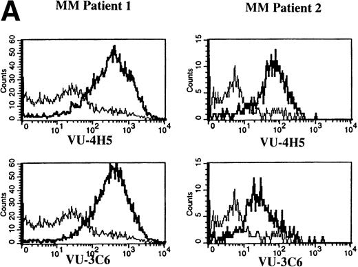 Fig. 3. Expression of Muc-1 core protein on MM patient and normal donor plasma cells. BM plasma cells from 2 representative MM patients (A) and 2 representative normal donors (B) are shown. Files were gated for CD38hi45RA− plasma cells (15% to 87% and 1% to 5% were present in MM patients and normal donors, respectively). Muc-1 on plasma cells was plotted as a histogram, with bold lines indicating staining with the VU-4H5 or VU-3C6 anti–Muc-1 MoAbs and the thin lines representing staining by an identically gated isotype-matched control MoAb.