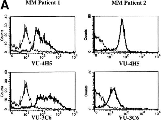 Fig. 4. Expression of Muc-1 core protein on MM patient and normal donor B cells. Peripheral blood B cells from 2 representative MM patients (A) and 2 representative normal donors (B) are shown, with Muc-1 staining plotted as a histogram. The bold line shows Muc-1 staining on B cells, and the thin line shows isotype-matched control staining on an identically gated aliquot of cells. Shown are B cells (26% to 32% and 4% to 7% for MM patients and normal donors, respectively), which include SSchi gated PB B cells for MM patients, because these are clonotypic, having IgH and CD19 transcripts.323435 In contrast, SSchi PB B cells are excluded from the B-cell gate in normal donors, because these are monocytes.35