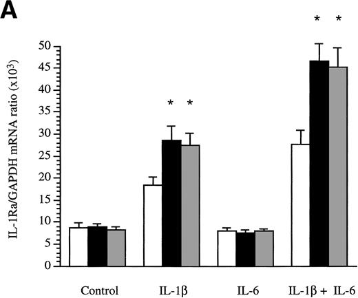Fig. 4. Determination of IL-1Ra mRNA levels in HepG2 cells and in human primary hepatocytes by RNase protection assay. HepG2 cells were cultured in the absence (control) or presence of IL-1β , IL-6, and a combination of IL-1β and IL-6 both without (□) and with the addition of 10 ng/mL IL-4 (▩) or 10 ng/mL IL-13 (▩) for 16 hours (A). Ten micrograms of total RNA from the HepG2 cells were hybridized simultaneously with 32P-labeled riboprobes complementary to IL-1Ra and GAPDH mRNA, then digested with RNase A and RNase T1. The protected fragments were analyzed in a 6% denaturing polyacrylamide gel. The intensity of the protected RNA fragments was analyzed by phosphorImager. The results represent IL-1Ra/GAPDH ratio × 103. Values represent the mean ± SEM of three experiments. *P < .05 in comparison with cells cultured in the absence of IL-4 or IL-13. Human primary hepatocytes were cultured in the absence (control) or presence of IL-1β, IL-6, and a combination of IL-1β and IL-6, both without and with the addition of 10 ng/mL IL-4 or 10 ng/mL IL-13 for 16 hours (B). Ten micrograms of total RNA from the hepatocytes were examined by RNase protection assay as described above. These results are representative of three different experiments.