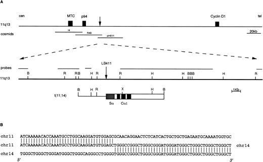 Fig. 2. Molecular cloning of the chromosomal breakpoint from case LB411. (A) Schematic representation of the breakpoint and the respective 11q13 germ-line region. From the top: a diagram of theBCL-1/cyclin D1 locus where the cosmid clones I4, R4b, pHS11 are located is shown; the 11q13 germ-line region and the probes used for the Southern and Northern blot analyses are shown as solid lines. The vertical arrow indicates the breakpoint position. In the t(11;14) breakpoint clone, chromosome 14 is indicated by open boxes with black or stippled boxes representing different IGH regions and chromosome 11 is shown as a solid line. Restriction enzyme symbols: B, BamHI; R, EcoRI; H, HindIII; X,XhoI. (B) The nucleotide sequence of the breakpoint region and its alignment with 11q13 and 14q32 germ-line sequences are shown.