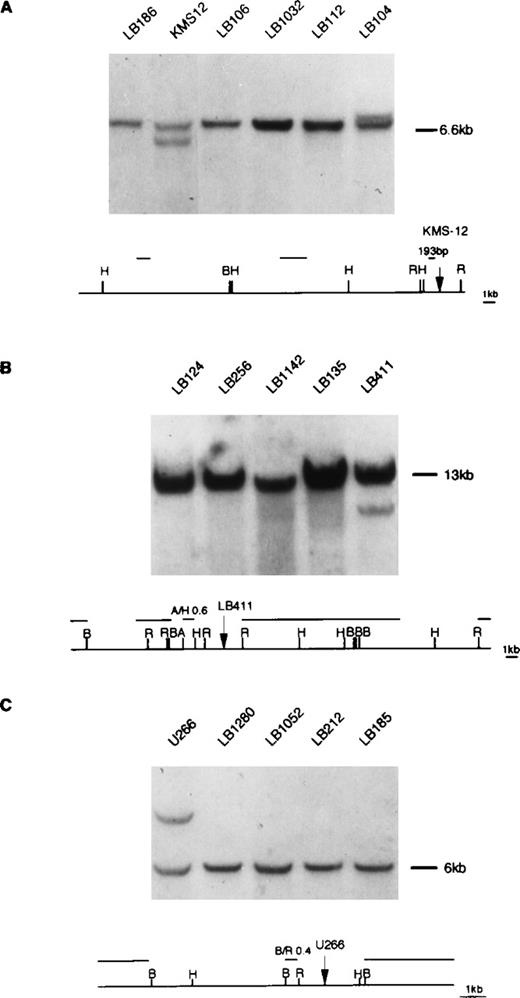 Fig. 6. Southern blot analysis of MM tumors using 11q13 probes. (A) DNA was digested with HindIII restriction enzyme and hybridized with the 193 bp probe (see Materials and Methods) located in proximity of the KMS-12 breakpoint16; a rearrangement was observed in one tumor (case LB104; see text). (B) DNA was digested withBamHI restriction enzyme and hybridized with the A/H 0.6 kb probe located in proximity of the LB411 breakpoint. (C) DNA was digested with HindIII restriction enzyme and hybridized with the B/R 0.4 kb probe located in proximity of U266 breakpoint. The rearrangement patterns of KMS12, LB411, and U266 with the specified 11q13 probes are respectively shown in (A, B, and C). Germ-line fragments are indicated by dashes. The diagrams represent the 11q13 germ-line regions; probes used in the Southern blot analyses are shown. Restriction enzyme symbols: H, HindIII; B, BamHI; R,EcoRI; A, AvaI.