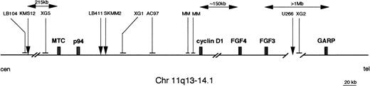 Fig. 7. Schematic representation of the MM breakpoints location in the 11q13 region. For details, see Raynaud et al9(XG1,XG2,XG5 cell lines), Meeus et al15 (two MM cases), Chesi et al16 (SK-MM2 cell line), and Vaandrager et al33 (KMS-12 cell line). The arrows indicate cases for which the breakpoint has been cloned; the dashes indicate cases for which the breakpoint has been approximately mapped by FISH or Southern blot analyses.