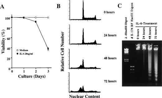 Fig. 4. IL-6–induced apoptosis of 1A9-M cells. 1A9-M cells were cultured with 20 ng/mL of IL-6 for the indicated time periods and then subjected to (A) cell viability, (B) nuclear DNA content, and (C) DNA fragmentation analysis as described in Materials and Methods. Each figure shows one of three similar experiments.