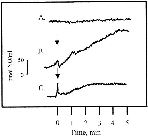 Fig. 3. NO production in LTB4-stimulated human PMN (3.5 × 106/mL), measured by the NO-specific electrode. The upper line (A) shows unstimulated PMN, line (B) stimulated PMN, and the line at the bottom (C) stimulated PMN preincubated with L-NMMA (1 mmol/L), performed as detailed in Materials and Methods. The arrow indicates when LTB4 (100 nmol/L) was added.