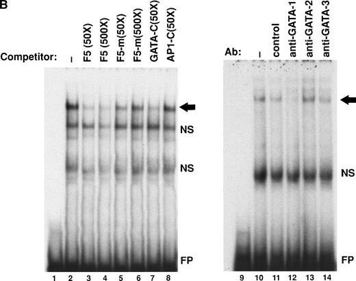 Fig. 1. Identification of GATA elements on the CCR5 promoter region. (A) Map and sequence of the CCR5 promoter region. Location and sequences of three GATA elements (GATA#1, GATA#2, and GATA#3) are shown. The sequence shown for GATA#3 was also used as an oligonucleotide probe (F5) for gel-mobility shift assays (see B). Nuleotides shown in upward arrows indicate mutated nucleotides in plasmids pGL-CCR5▵GATA#1, pGL-CCR5▵GATA#2, pGL-CCR5▵GATA#3, and pGL-CCR5▵GATA#1+2+3. Brackets indicate GATA elements. (B) Identification of GATA#3 as a binding site for GATA-1 by gel mobility shift assays. A radiolabeled oligonucleotide F5 corresponding to FP-5 (a DNase-protected area in footprinting assays4) was incubated with nuclear extracts from PM1 cells. Lanes 1 and 9 represent probe alone. Where indicated, a 50- or 500-fold molar excess of oligonucleotide indicated above the figure was added as a competitor. F5-m has mutation on the GATA element as in plasmid pGL-CCR5▵GATA#3. For GATA or AP1 consensus oligonucleotide, see Moriuchi et al.4 Gel shift disruption experiments (lanes 9 through 14) were performed by adding either control Ab or monoclonal antibodies to either GATA-1, GATA-2, or GATA-3 (Santa Cruz Biotechnology, Inc, Santa Cruz, CA), as indicated above the figure. The arrow indicates the GATA-1 complex. NS, nonspecific bands; FP, free probe. The experiments were repeated twice with similar results.