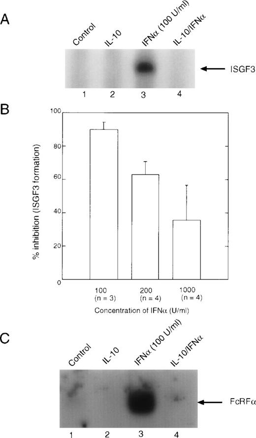 Fig. 2. EMSA analysis of IFN-induced DNA binding complexes. Monocytes were treated with 10 ng/mL of IL-10 for 90 minutes, followed by treatment with the indicated doses of IFN for 30 minutes. Nuclear extracts were prepared, and EMSA were performed. (A) EMSA using the ISRE probe, which represents binding of the ISGF3 complex. (B) Summaries of the Phospho-Imager data from several experiments, such as those presented in (A), were quantitated using the Phospho-Imager. The value given is the mean ± standard deviation. (C) EMSA using the GRR probe, which predominantly measures binding of STAT1 dimers.