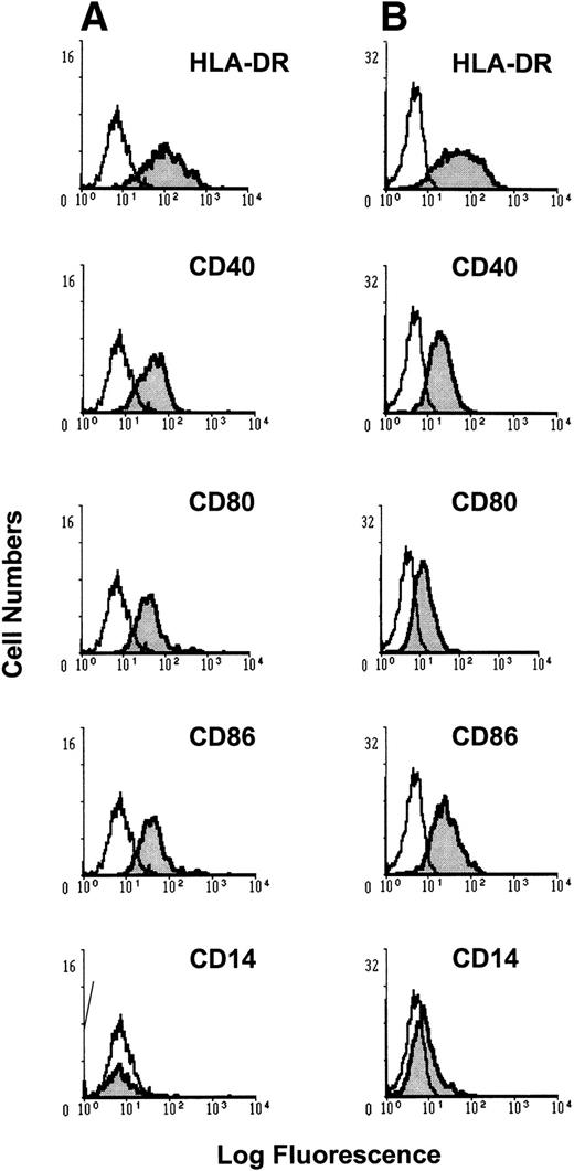 Fig. 1. Phenotypic profile of BMDCs generated from MM patients versus normal donors. BMDCs were generated by culture of BMMCs from MM patients and normal donors in the presence of GM-CSF and IL-4 for 12 to 14 days. Phenotype was determined using indirect immunofluorescence flow cytometry with MoAbs specific for CD14, CD40, CD80, CD86, and HLA-DR developed with goat anti-mouse FITC antibody for MM BMDCs (A) and normal donor BMDCs (B).