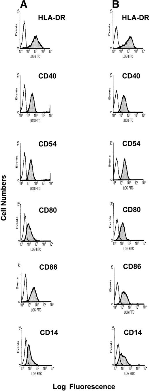 Fig. 2. Phenotypic profile of PBDCs generated from MM patients versus normal donors. PBDCs were generated by culture of PBDCs from MM patients and normal donors for 8 to 10 days in the presence of GM-CSF and IL-4. Phenotype was determined by indirect immunofluorescence flow cytometry with MoAbs specific for CD14, CD40, CD54, CD80, CD86, and HLA-DR developed with goat anti-mouse FITC antibody for MM PBDCs (A) and normal donor PBDCs (B).