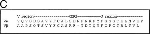 Fig. 1. (A) Phenotype of the clones. The A2 Gag and the A2 Pol clones were analyzed by flow cytometry. The y-axes indicate staining with CD8-PE and the x-axes represent staining with control antibody, CD3-FITC, CD28-FITC, and Fas-FITC. (B) Specificity of the A2 Gag clone. The panel shows the A2 Gag clone stained with anti–CD8-tricolor and either an irrelevant A2 tetramer- (complexed with an EBV peptide) or A2 Gag tetramer-PE. (C) The sequences of the CDR3 regions of the A2 pol clone T-cell receptor. The V and Vβ usage and CDR3 sequences of the TCR of the pol-specific CTL clone were the same in 18 transcripts, providing evidence of clonality.