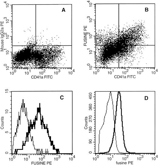 Fig. 2. CXCR4 expression on megakaryocytes and platelets. (A, B) Representative data of flow cytometric analysis of CD41a and CXCR4 on megakaryocytes grown in culture are shown. Cord blood CD34+ cells were cultured for 6 days in the presence of a combination of SCF and PEG-rhuMGDF. Cells were stained using an anti-CD41a MoAb in combination with either an isotype control antibody (A) or the anti-CXCR4 MoAb (B). (C) CXCR4 expression on freshly isolated megakaryocytes after percoll enrichment. (D) Platelets, depleted in leukocytes, were labeled using a similar procedure. Labeling with control MoAb is shown by the thin line. The thick line shows the staining with the anti-CXCR4 MoAb.