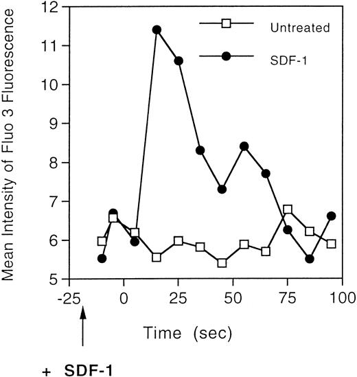 Fig. 3. Calcium flux response of megakaryocytes to SDF-1. After CD41a labeling, cells were loaded with Fluo-3 and exposed to SDF-1 (300 ng/mL). Changes in fluorescence were monitored over time by flow cytometry after SDF-1 addition. The results are derived from one representative experiment of a total of three separate experiments.