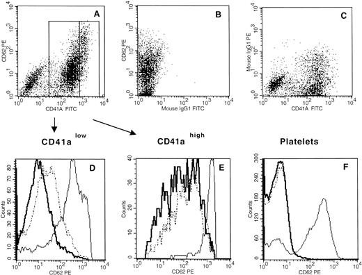 Fig. 5. Effects of SDF-1 on the expression of CD62 by megakaryocytes. (A,B,C) Examples of double-color staining with anti-CD62 in combination with anti-CD41a (A) or with control antibodies (B) and (C). Primary cultured cells were either left unstimulated (thick line) or stimulated for 10 minutes with either thrombin (1 U/mL, thin line) or SDF-1 (300 ng/mL, broken line). CD62 staining in combination with CD41a staining was then compared by FACS analysis as described in Materials and Methods. The analysis was performed in CD41alow (D) and CD41ahigh (E) gates as defined in (A) and in platelets (F). These data are representative of four experiments.