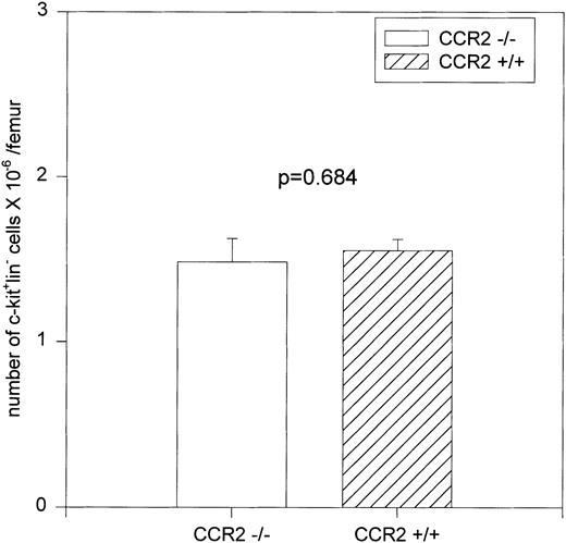 Fig. 2. Numbers of c-kit+lin− cells in total BM. c-kit+lin− cells (from the upper left-hand quadrant of Fig 1A) were gated and analyzed for their percentage in the total population of nucleated BM cells and the results are expressed as the number of cells per femur.